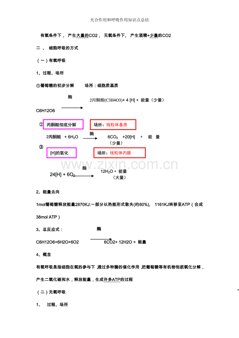 光合作用和呼吸作用知识点总结.doc_第3页