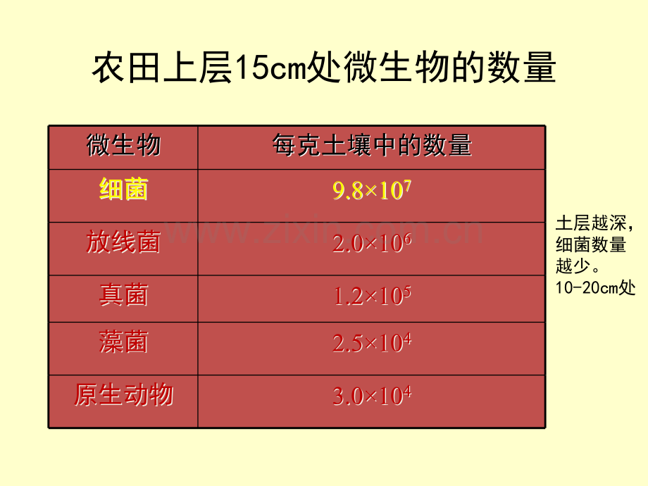 发酵工程---第二章-工业微生物的生长和产物合成.ppt_第3页