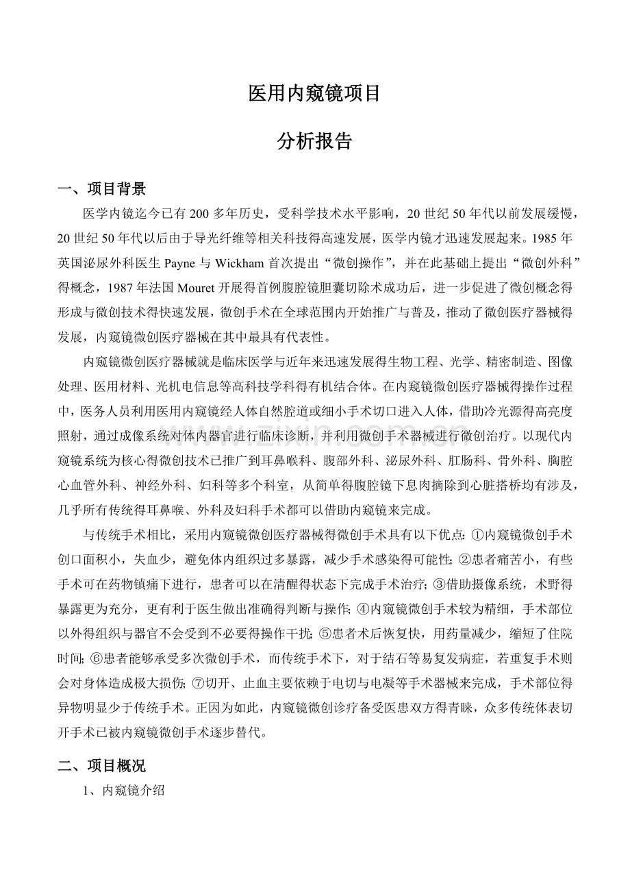 内窥镜项目分析报告.doc_第1页