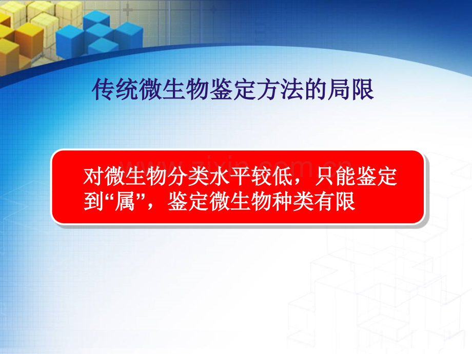 微生物鉴定技术在药品检验及监管中的应用(简版)-徐-伟-东课件.ppt_第3页