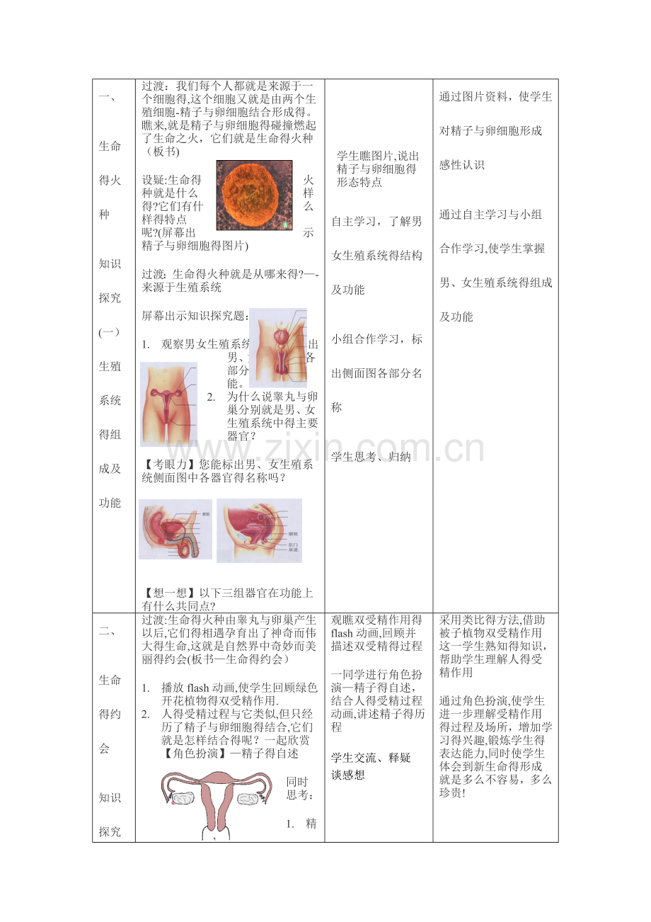 人的生殖教学设计.doc_第3页