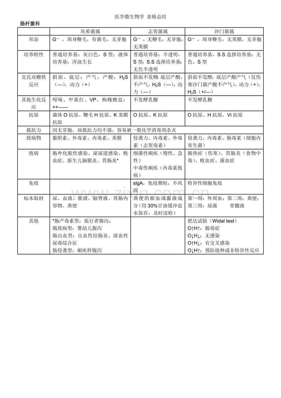 医学微生物学-表格总结.doc_第2页