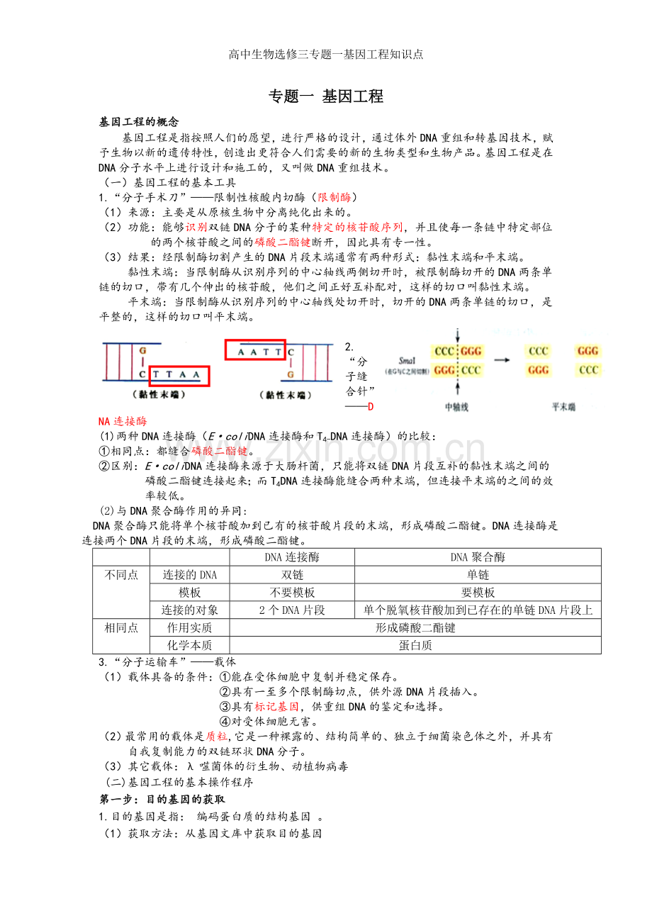 高中生物选修三专题一基因工程知识点.doc_第1页