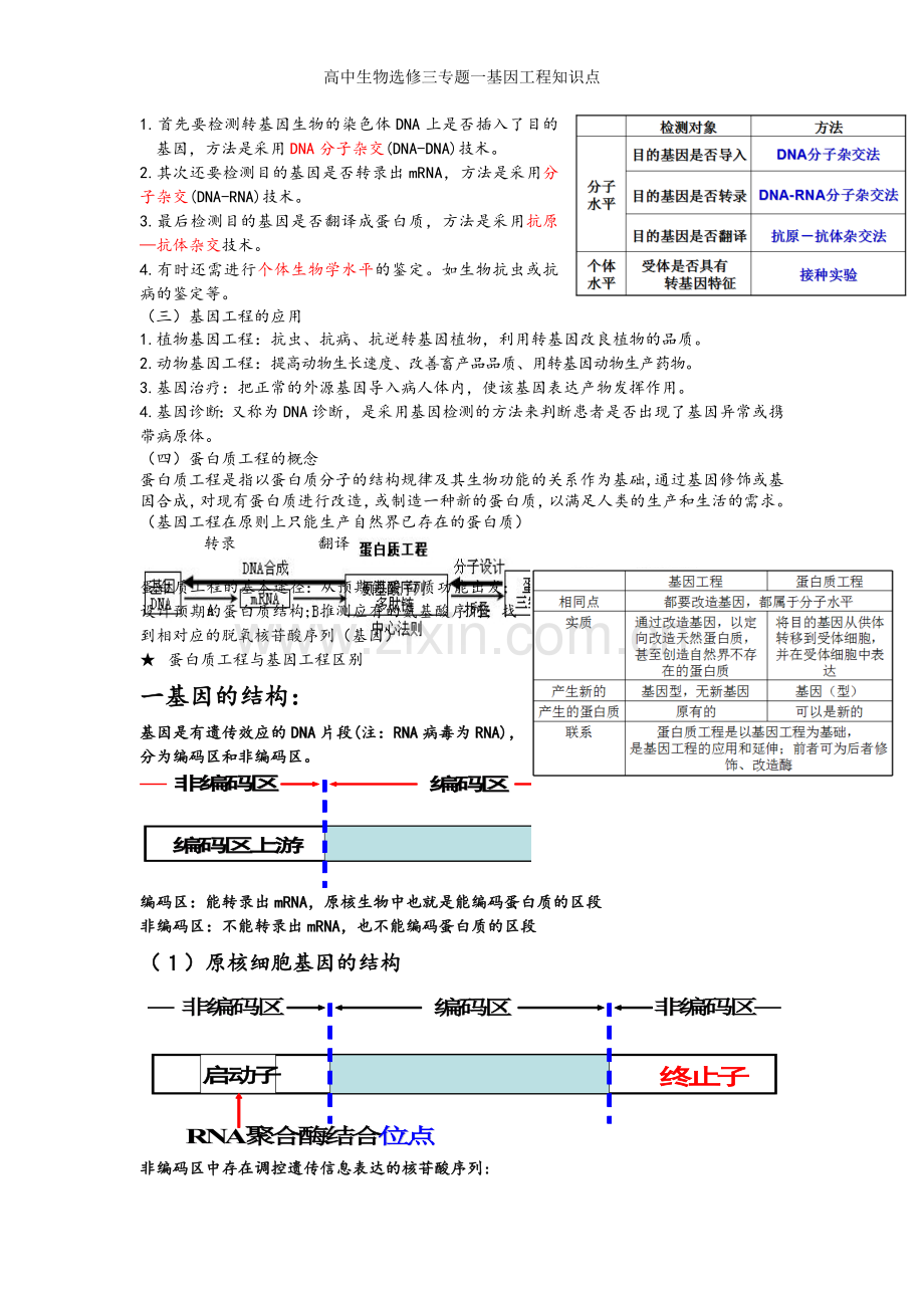 高中生物选修三专题一基因工程知识点.doc_第3页