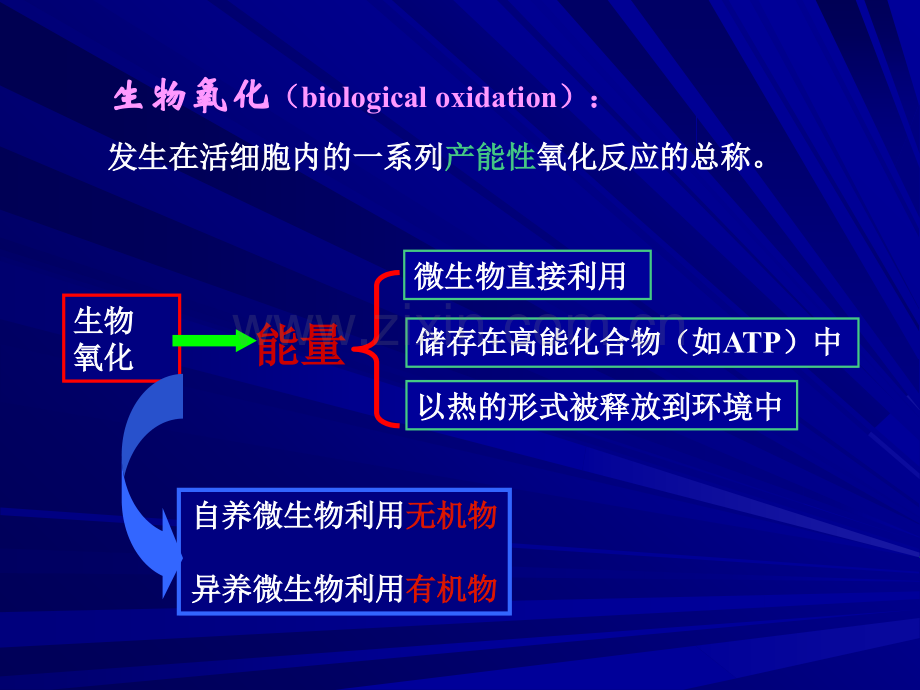 微生物生理学第四章.ppt_第1页