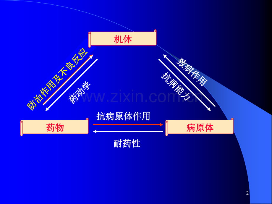 抗微生物药物概论.ppt_第2页