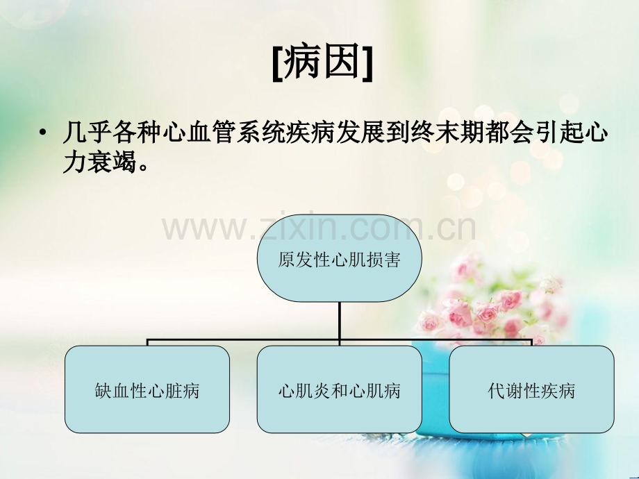 心力衰竭课件.ppt_第2页