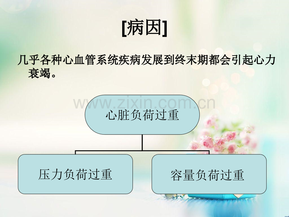 心力衰竭课件.ppt_第3页