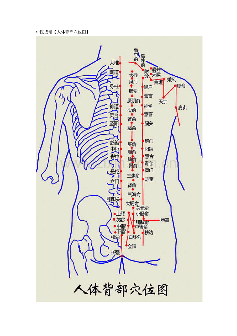 中医拔罐【人体背部穴位图】.doc_第1页