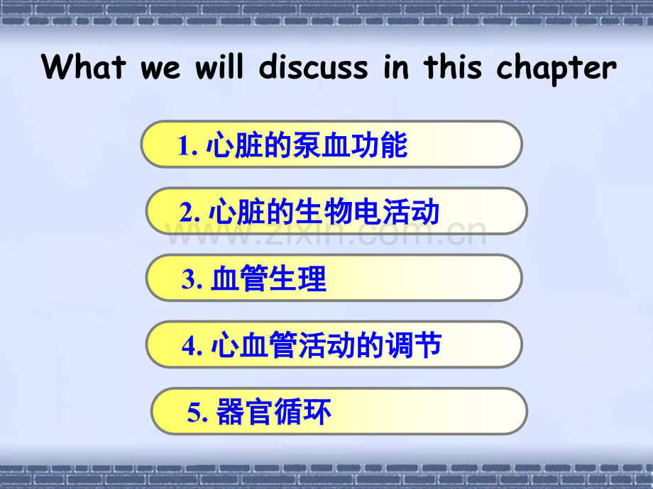 循环课件1.ppt_第1页