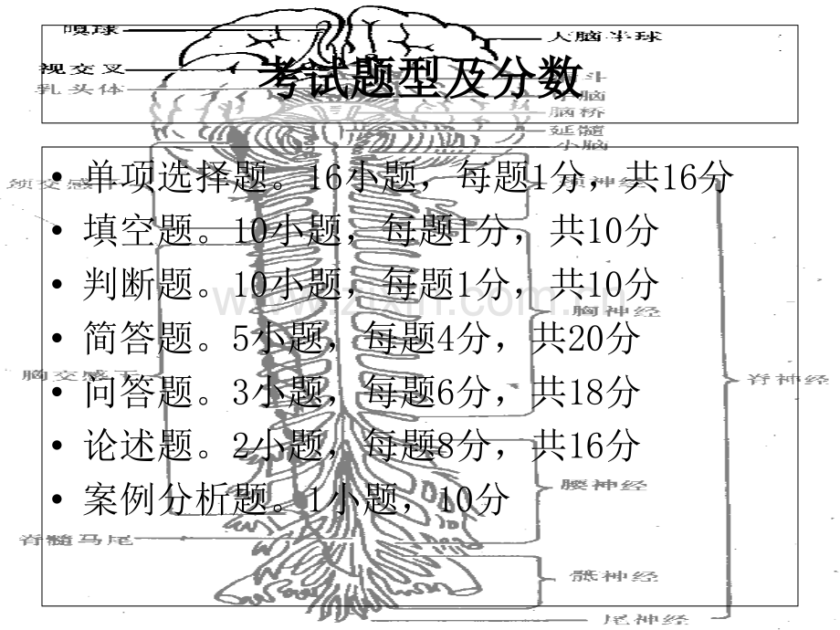 学前卫生学.ppt_第2页