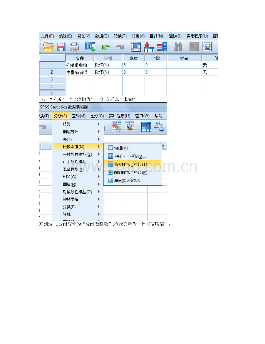 使用SPSS-进行两组独立样本的t检验、F检验、显著性差异、计算p值.doc_第2页