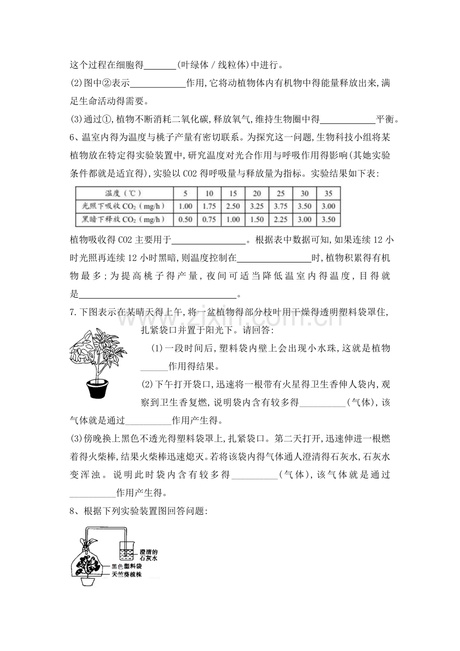 《绿色植物的呼吸作用》能力提升.doc_第2页