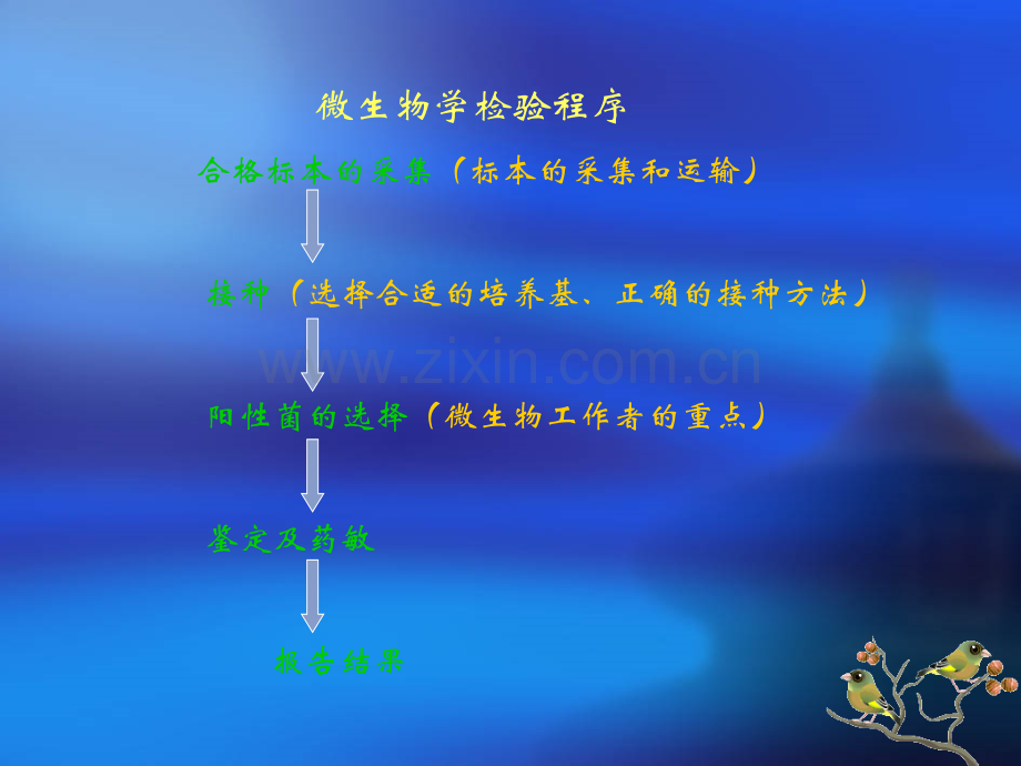 微生物检验.ppt_第2页