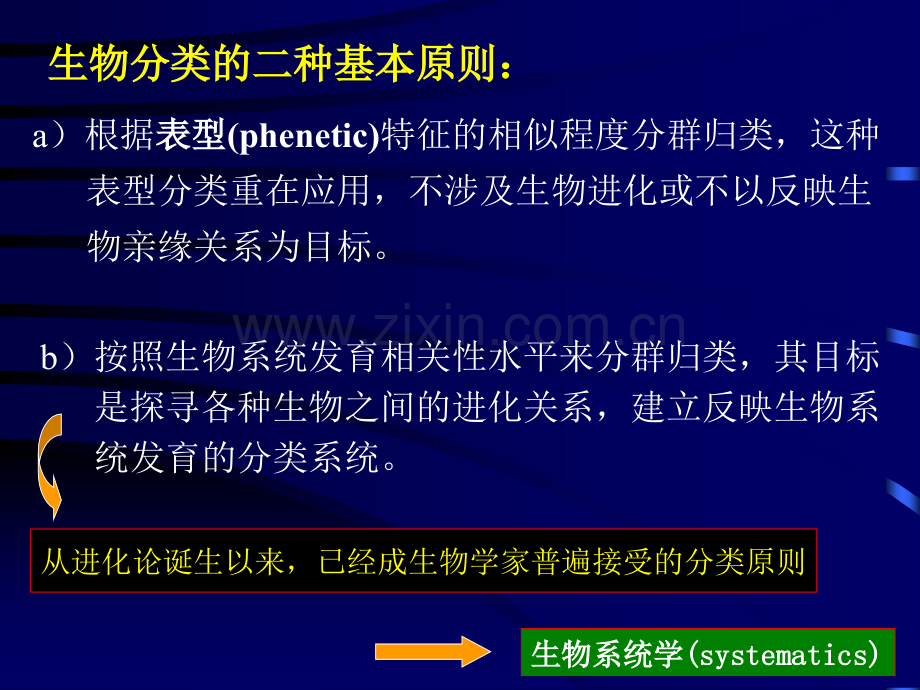 微生物分类与鉴定.ppt_第2页