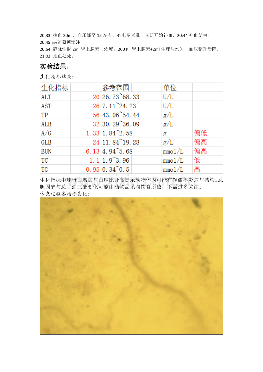 失血性休克实验报告.doc_第3页