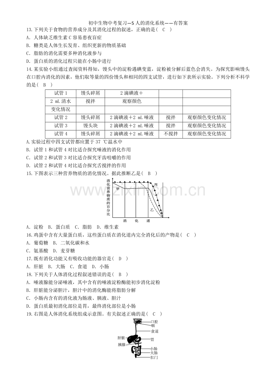 初中生物中考复习—5人的消化系统——有答案.doc_第2页