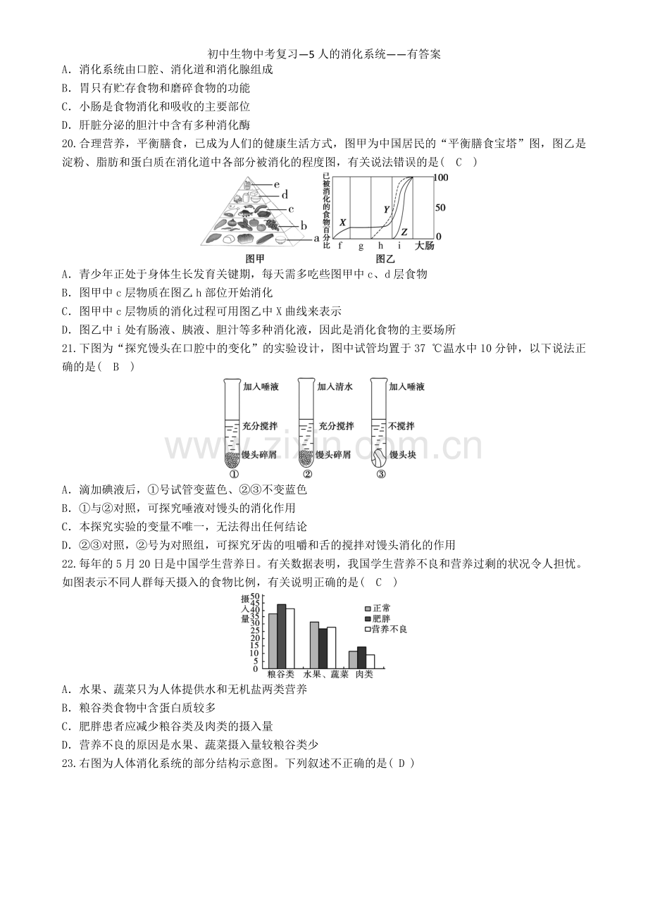 初中生物中考复习—5人的消化系统——有答案.doc_第3页