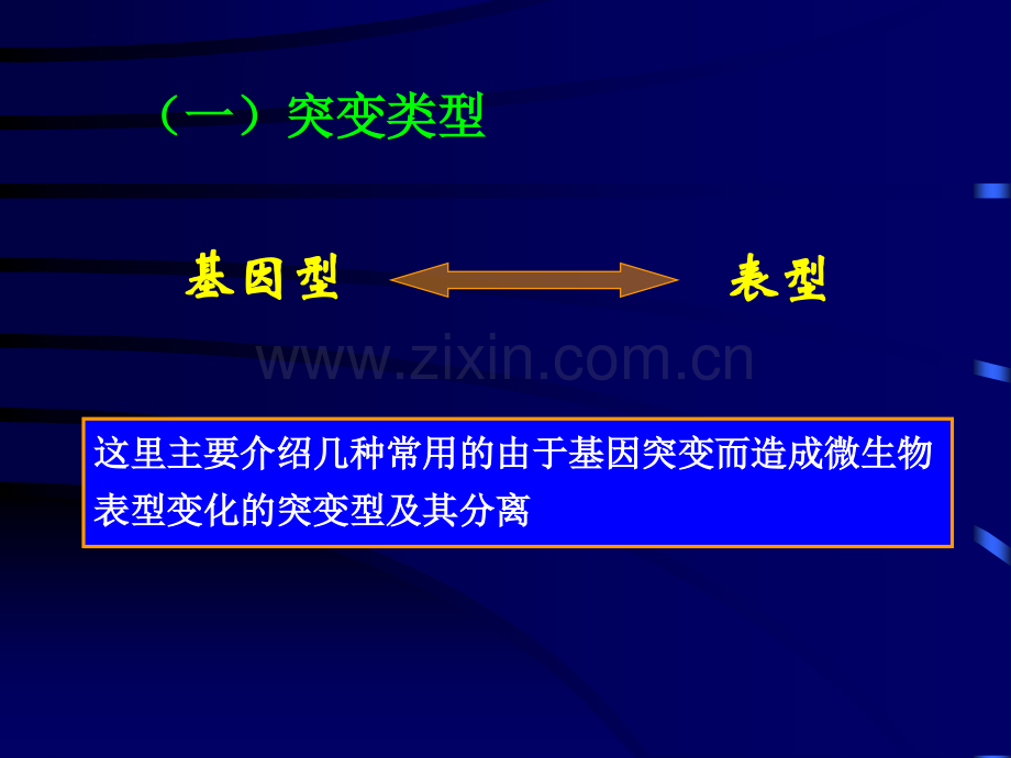 微生物--遗传与变异2.ppt_第2页