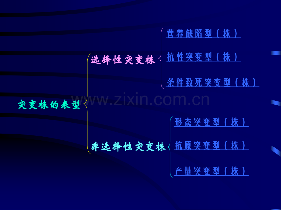 微生物--遗传与变异2.ppt_第3页