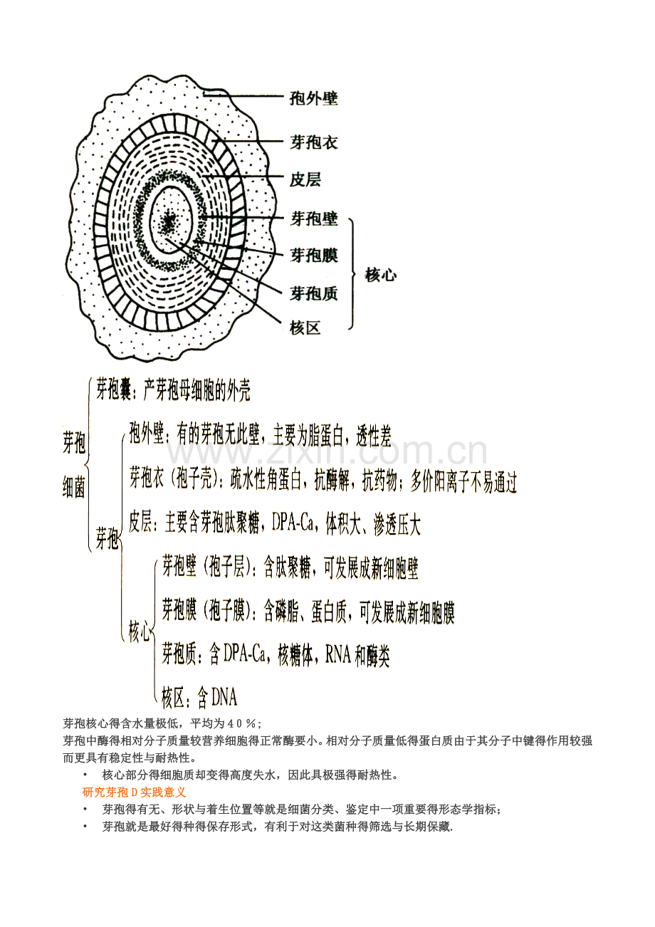 现代食品微生物学重-难点及总结.doc_第3页