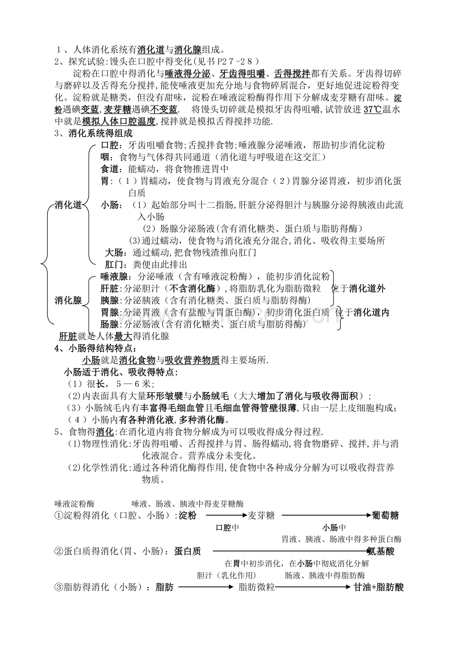 七年级下册生物学知识点汇总-(2).doc_第3页