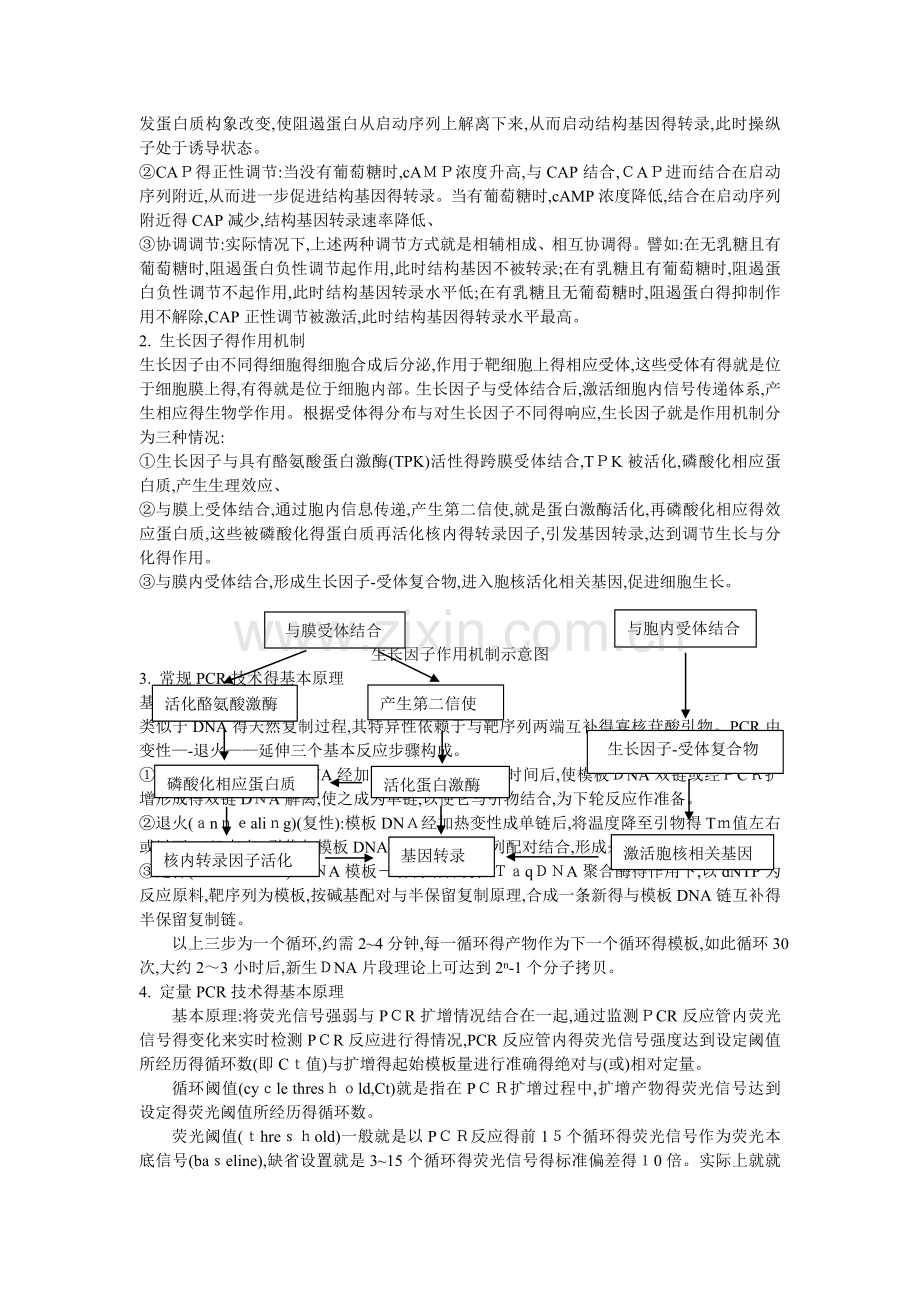 分子生物学知识点整理.doc_第3页