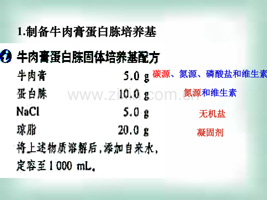 微生物的实验室培养ppt.ppt_第2页