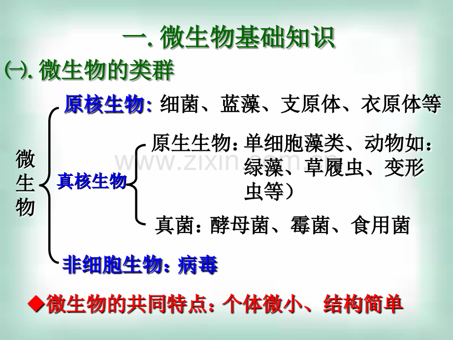 微生物实验室培养.ppt_第1页