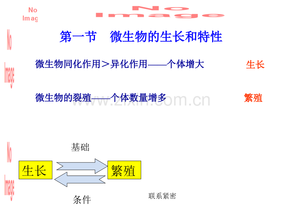 微生物-第七章-微生物的生长和遗传变异2.ppt_第1页