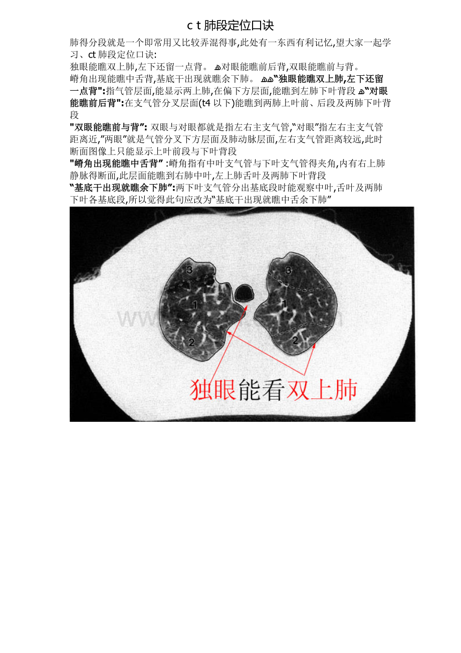 CT肺的分叶分段.doc_第1页