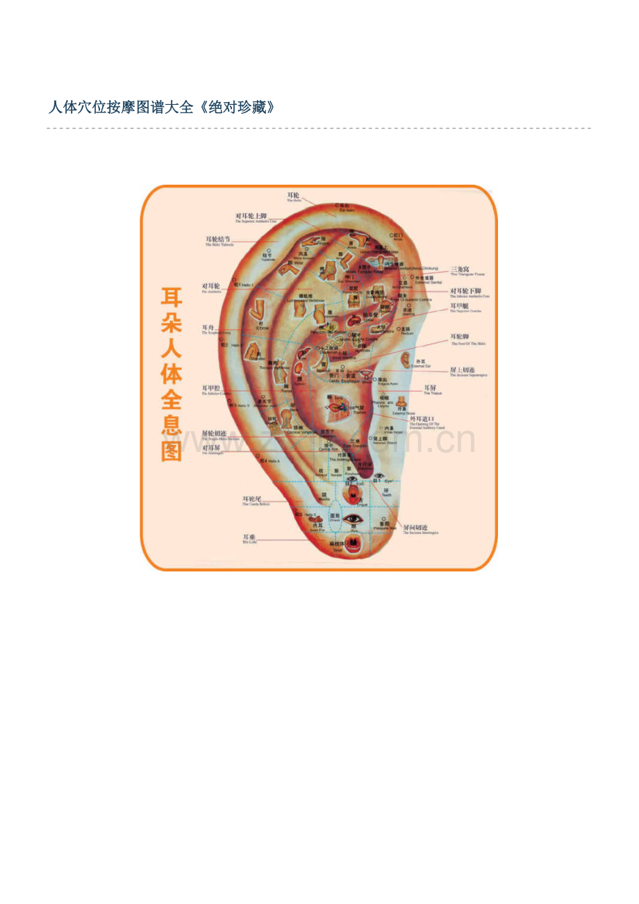 人体穴位按摩图谱大全.doc_第1页