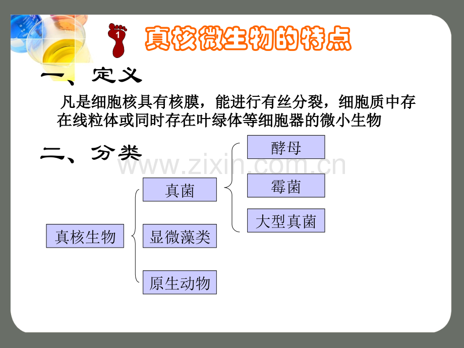 微生物的形态和结构(2).ppt_第2页