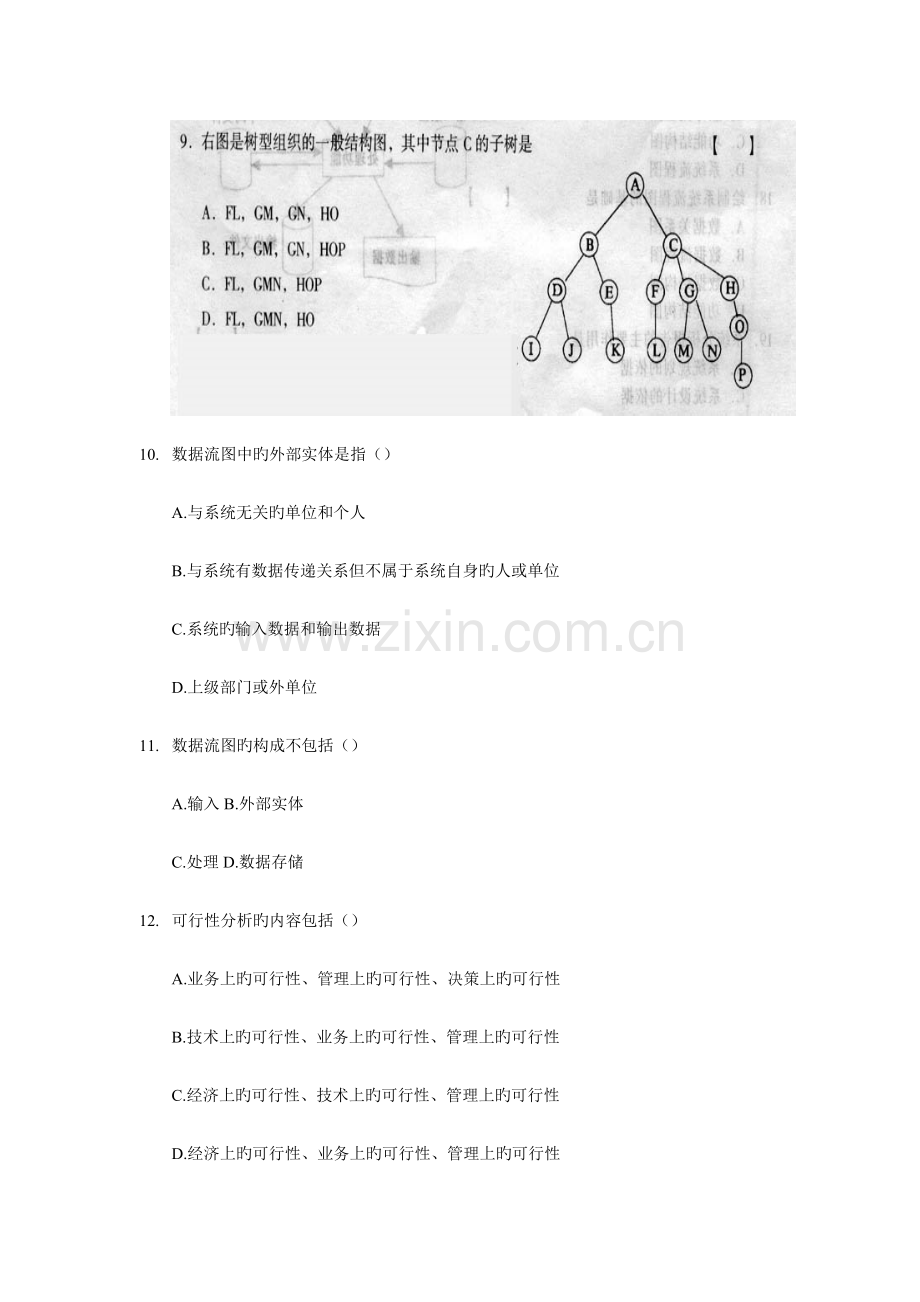 2023年管理信息系统试题.doc_第3页