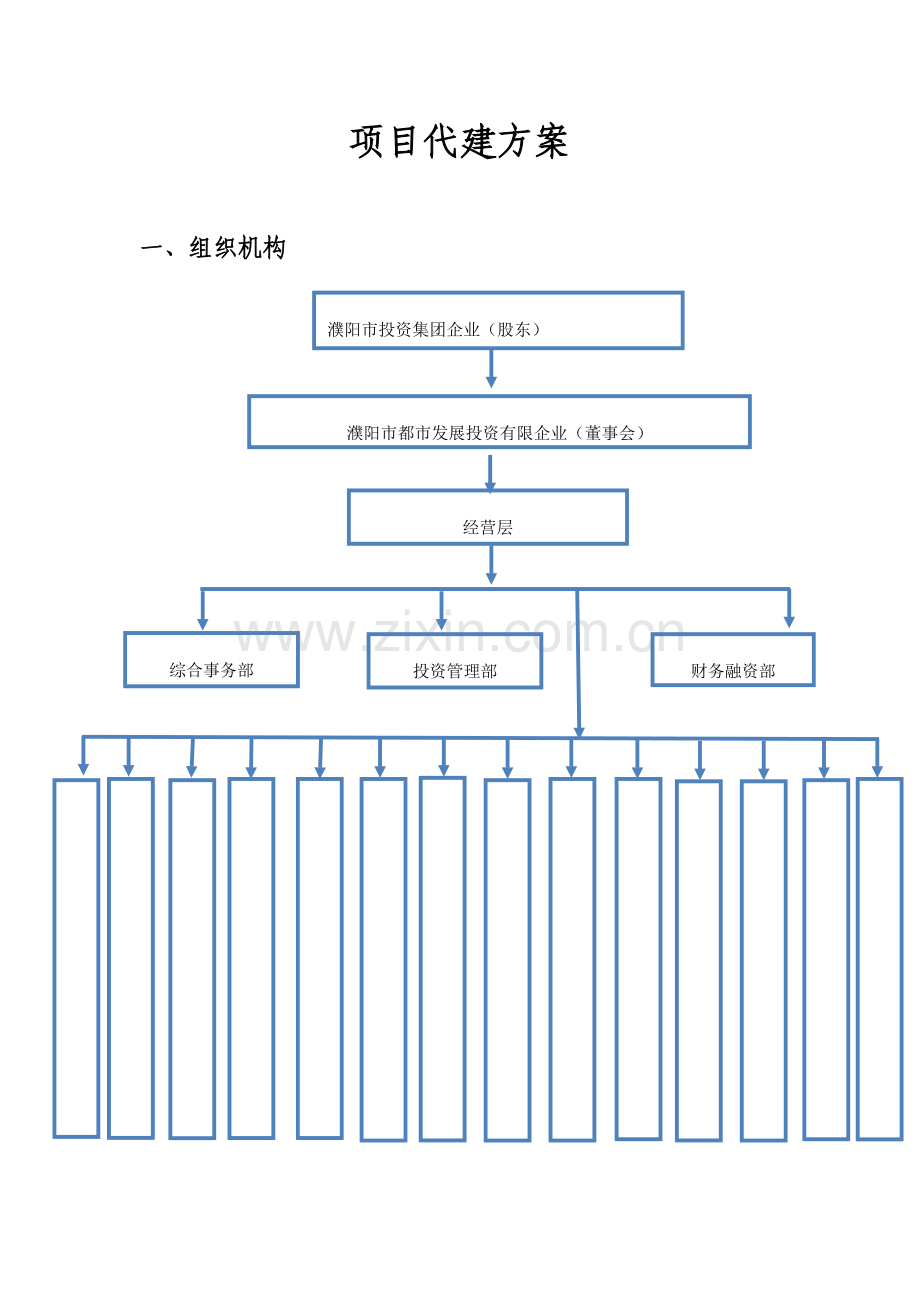 项目代建方案.doc_第1页