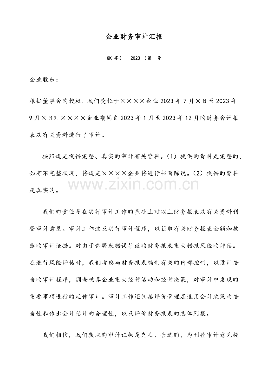 公司财务审计报告.docx_第1页