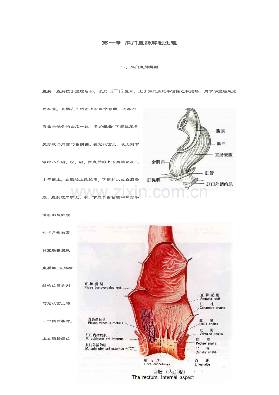 肛门直肠解剖生理.doc_第1页