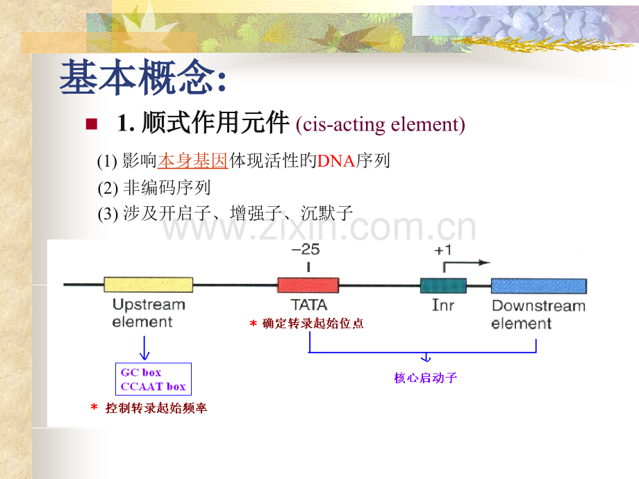 真核生物的表达调控公开课一等奖市赛课获奖课件.pptx_第2页