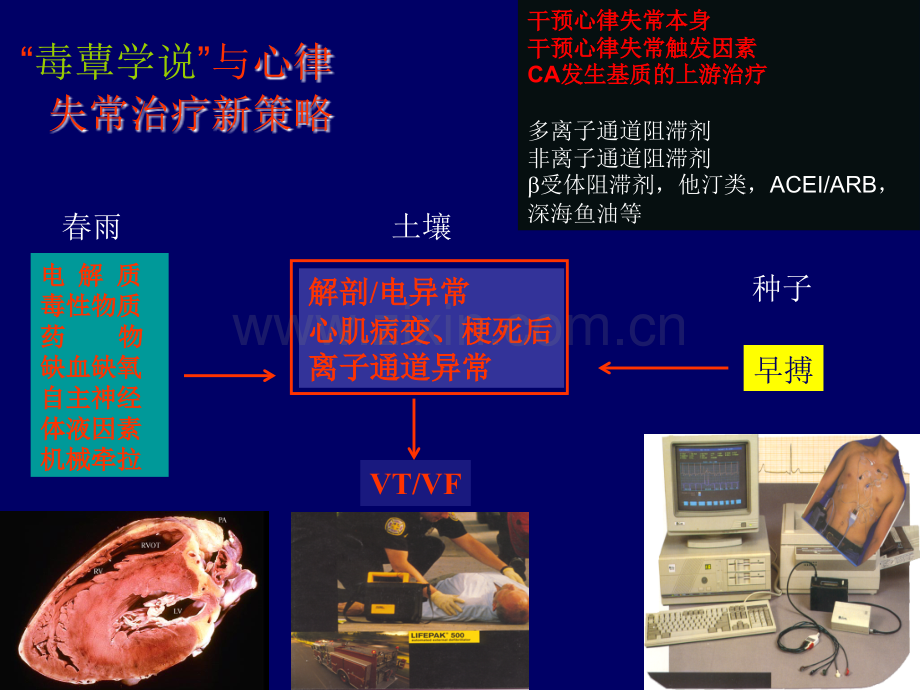 A1.心律失常诊治进展.ppt_第2页