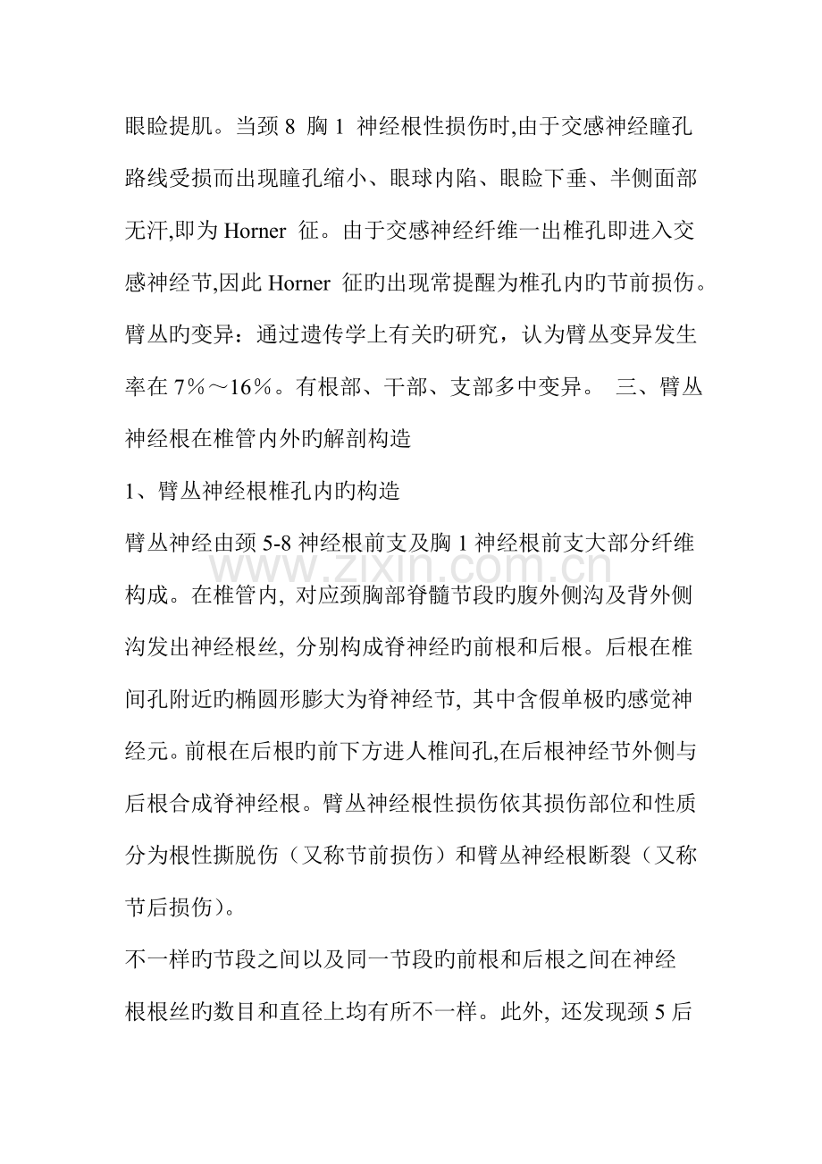 臂丛神经损伤的诊断和治疗.doc_第3页