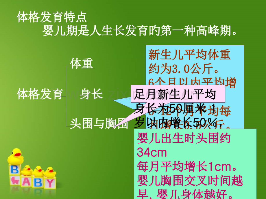 婴幼儿的营养与膳食.pptx_第3页