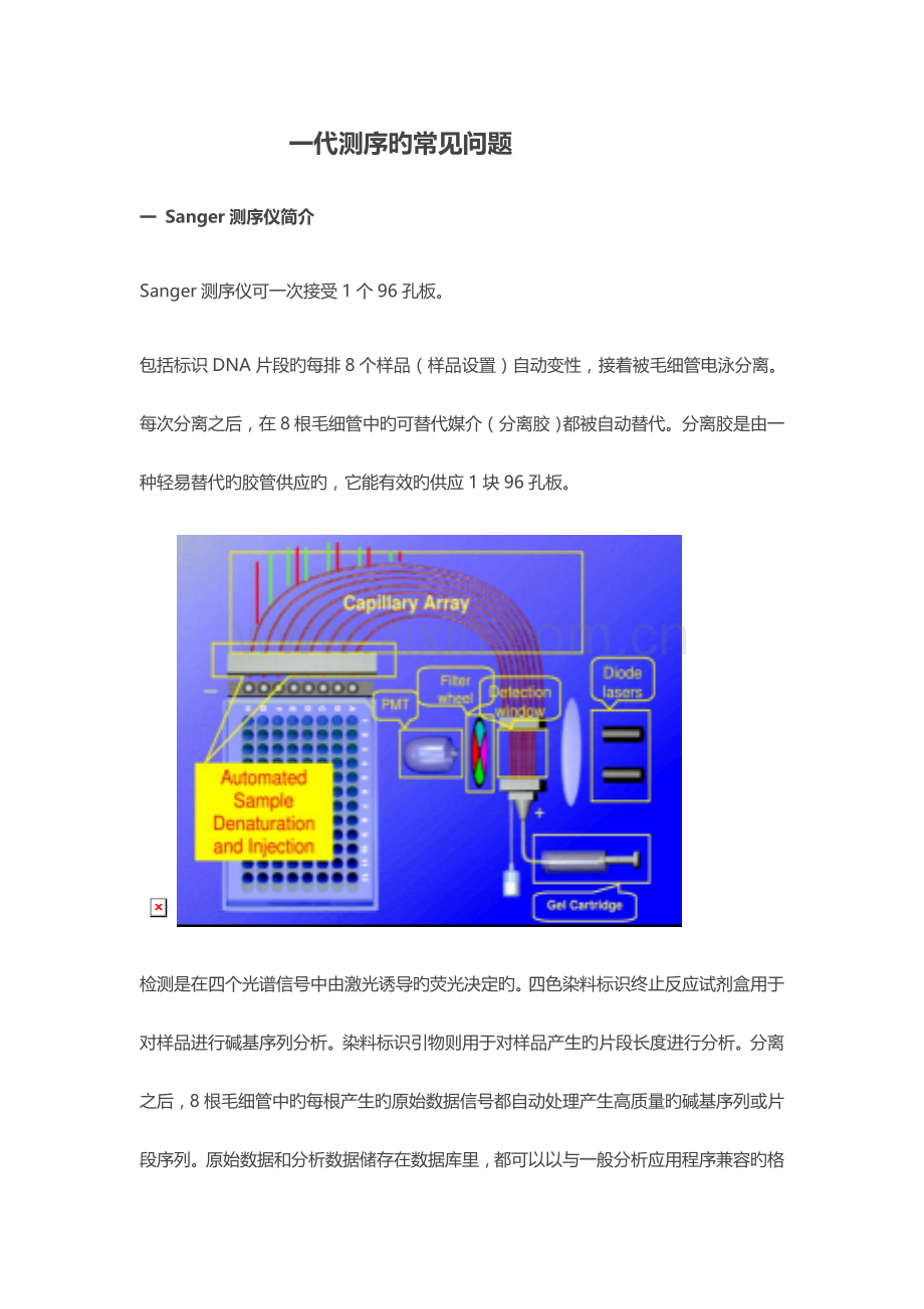 一代测序峰图说明.docx_第1页