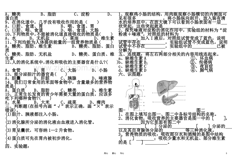 七年级生物下册全套试题-北师大版.doc_第3页