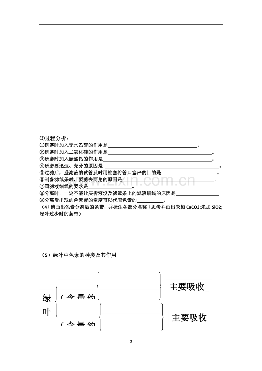 一轮复习光合作用学案.doc_第3页