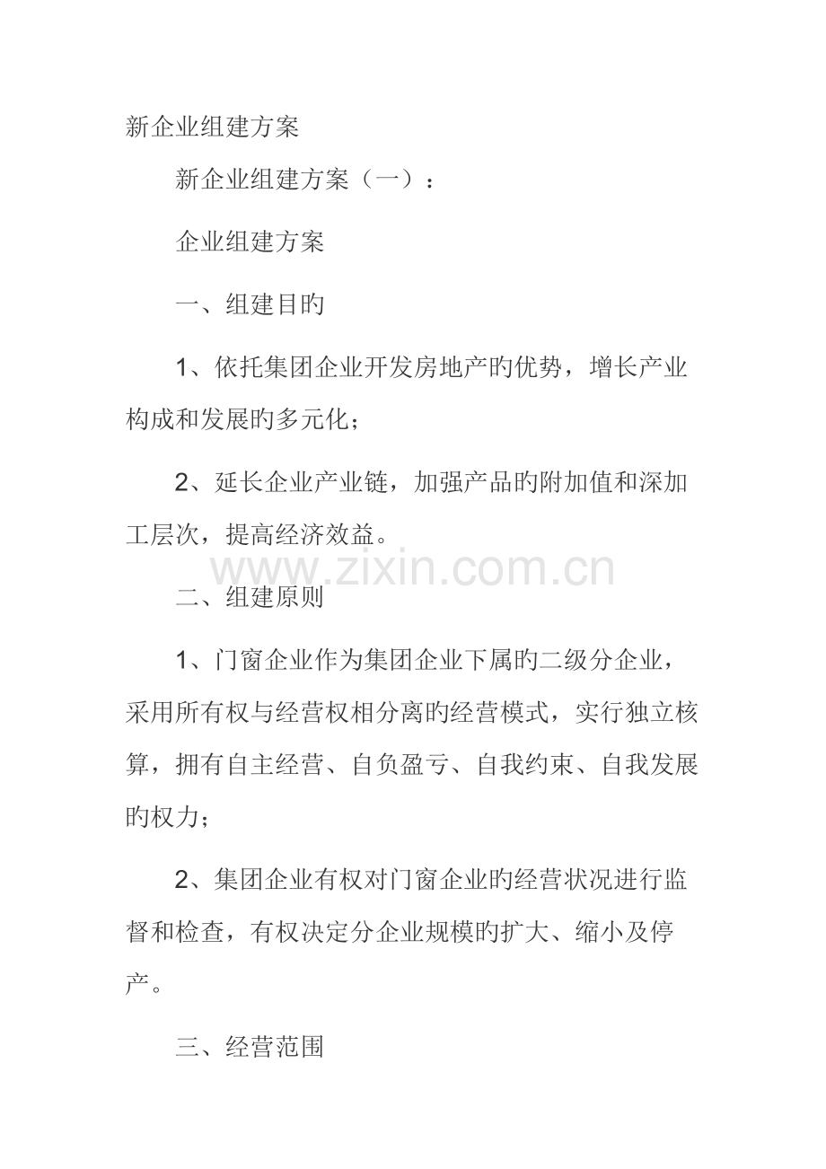 新公司组建方案.docx_第1页