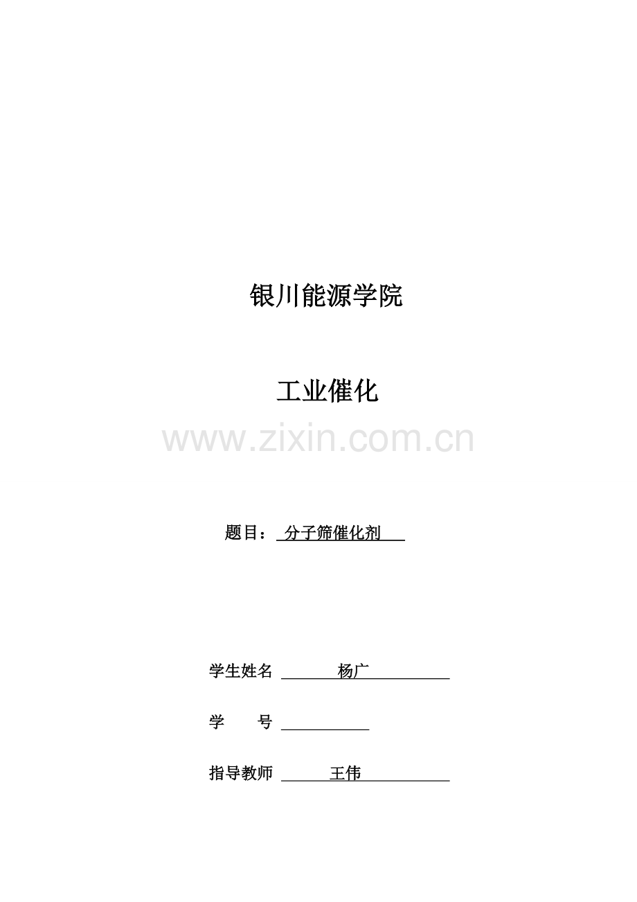 分子筛催化剂.docx_第1页