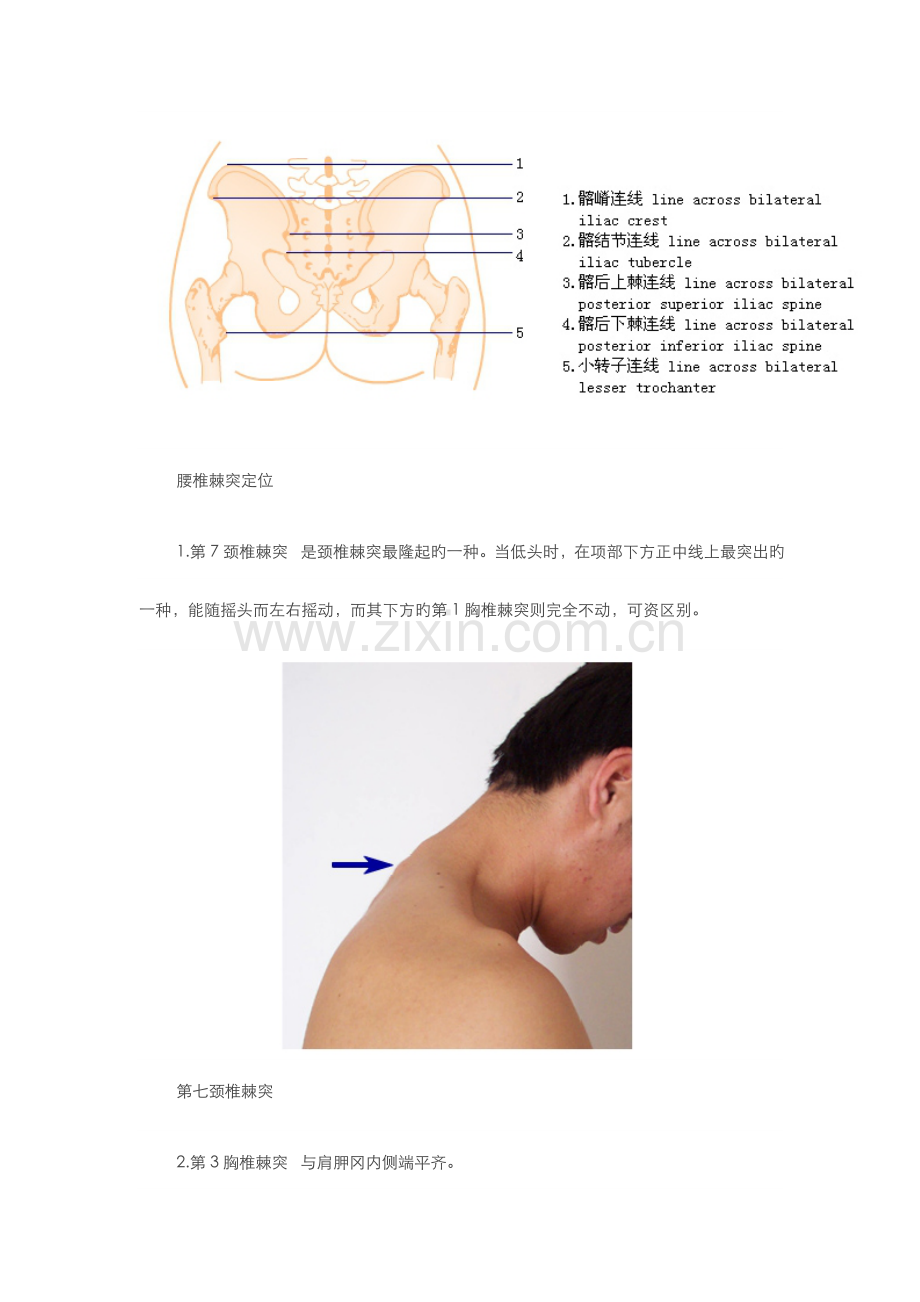 体格检查脊柱检查.doc_第2页