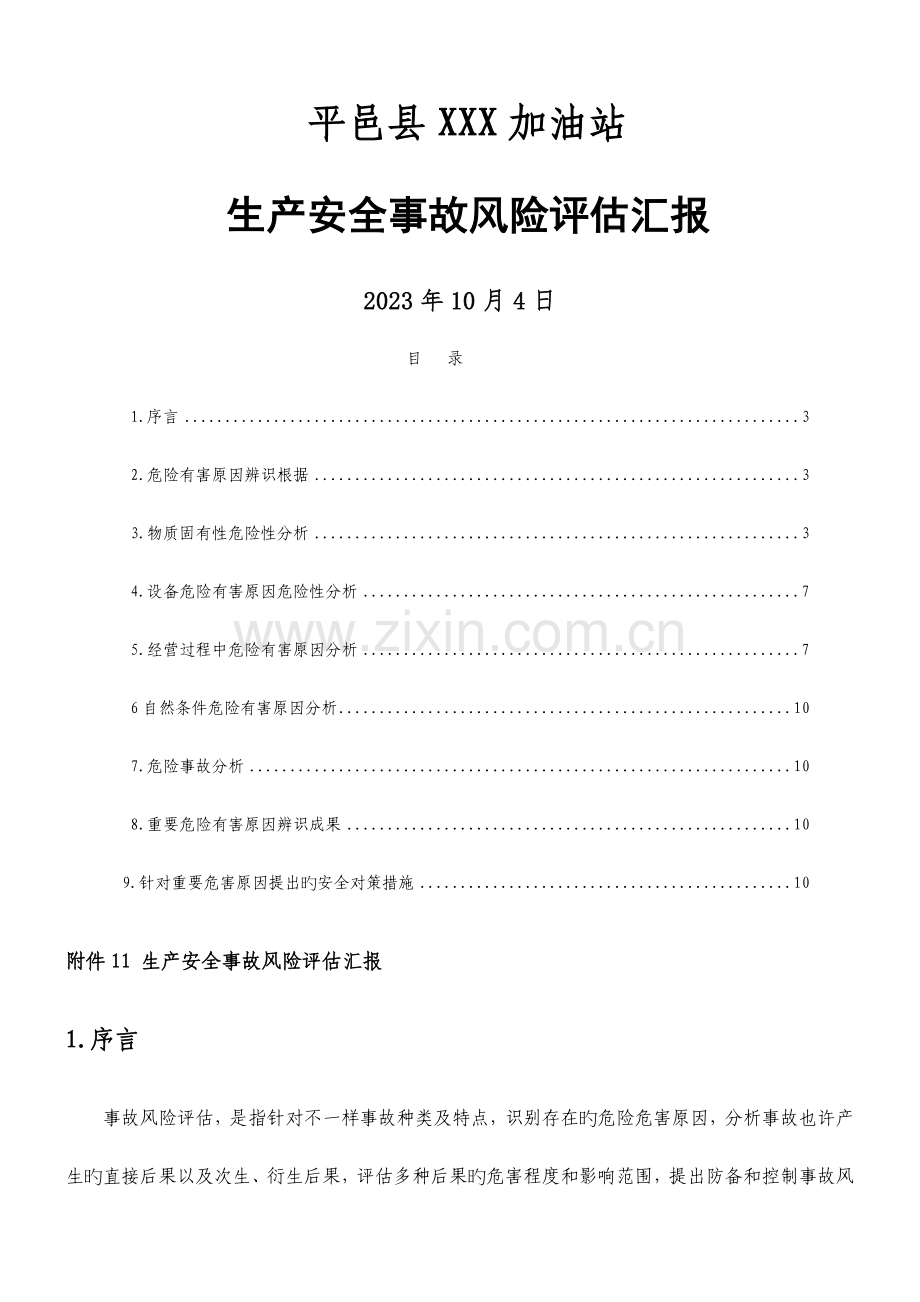 加油站风险评估报告.doc_第1页