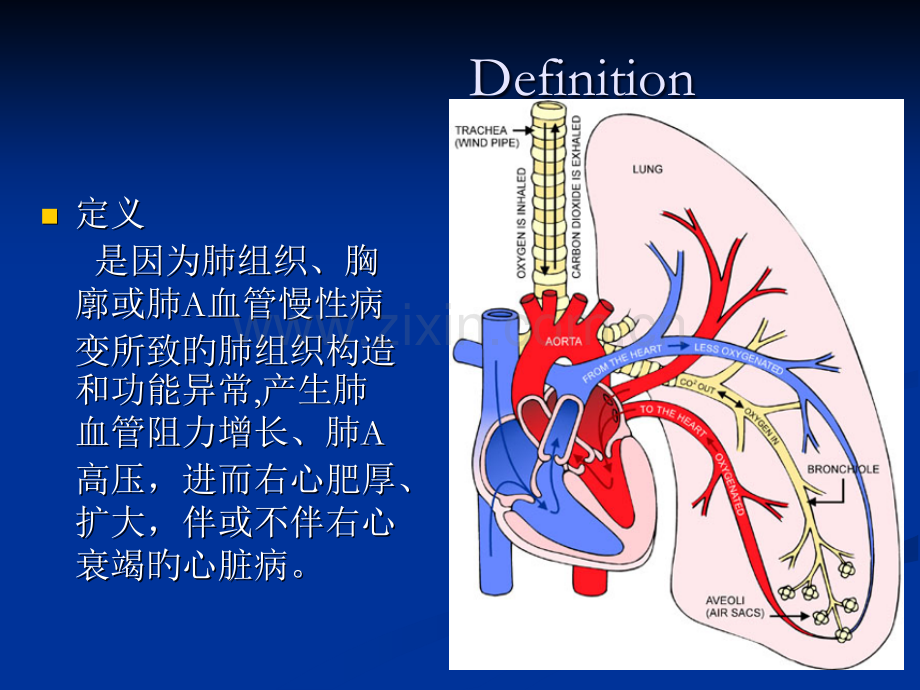 慢性肺源性心脏病讲解作品讲义.pptx_第3页