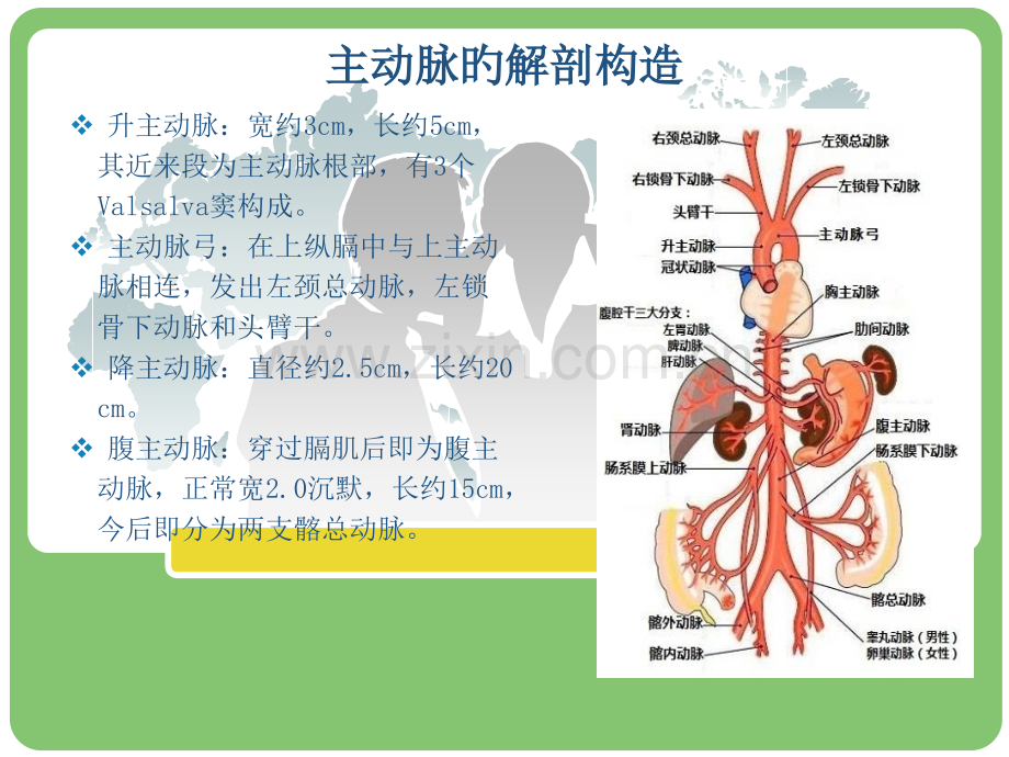 主动脉夹层的病例讨论讲义.pptx_第2页